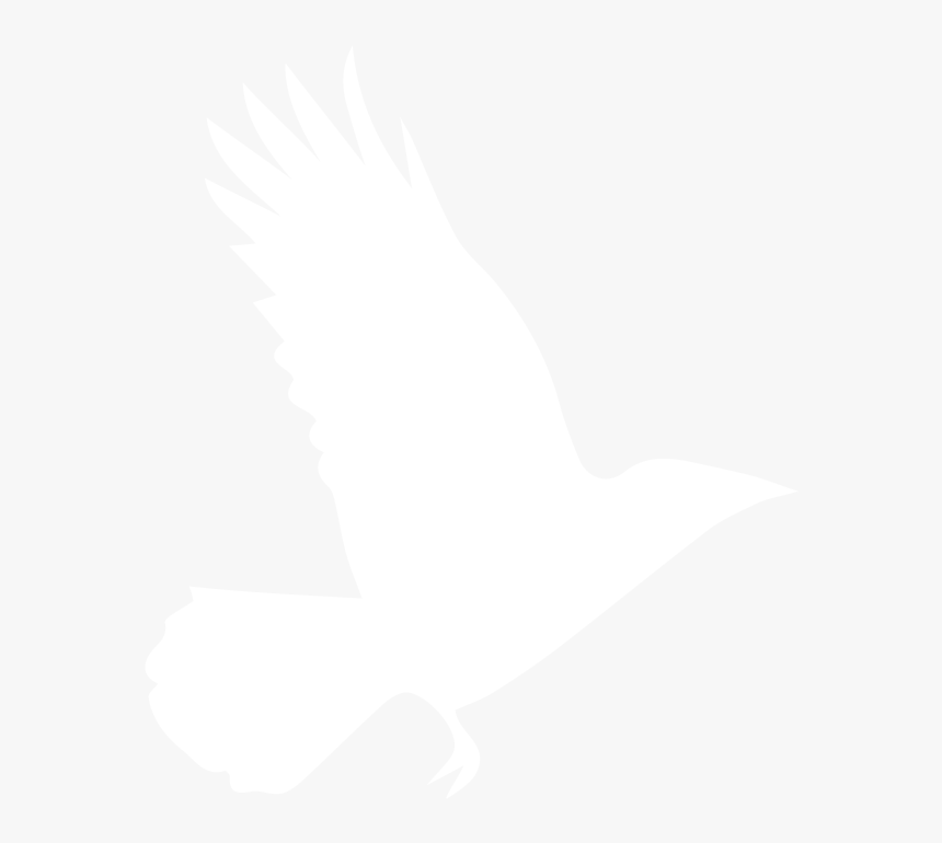 Raven Feather Png, Transparent Png, Free Download