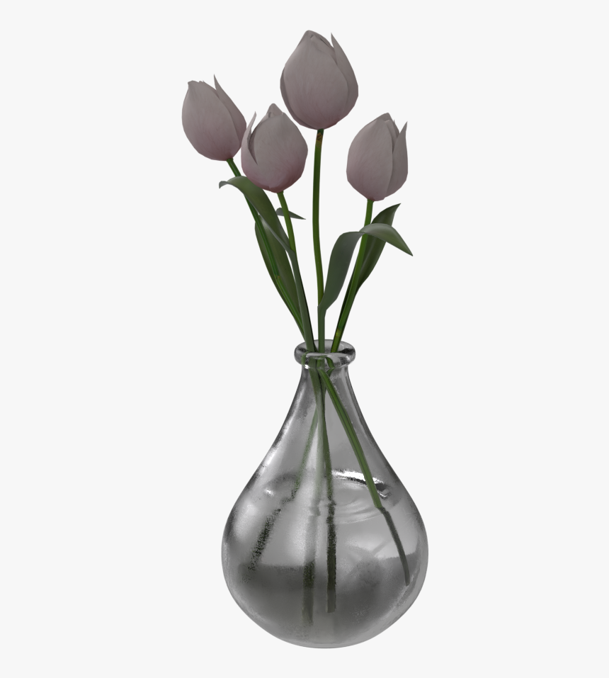 Tulip, HD Png Download, Free Download