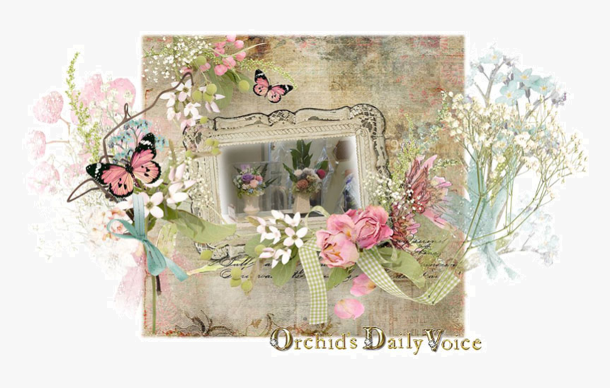 Garden Roses, HD Png Download, Free Download