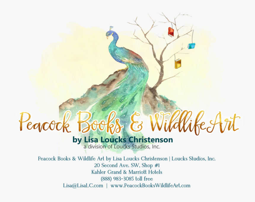 Peacock Books & Wildlife Art Mentioned On Shelf Awareness - Peafowl, HD Png Download, Free Download