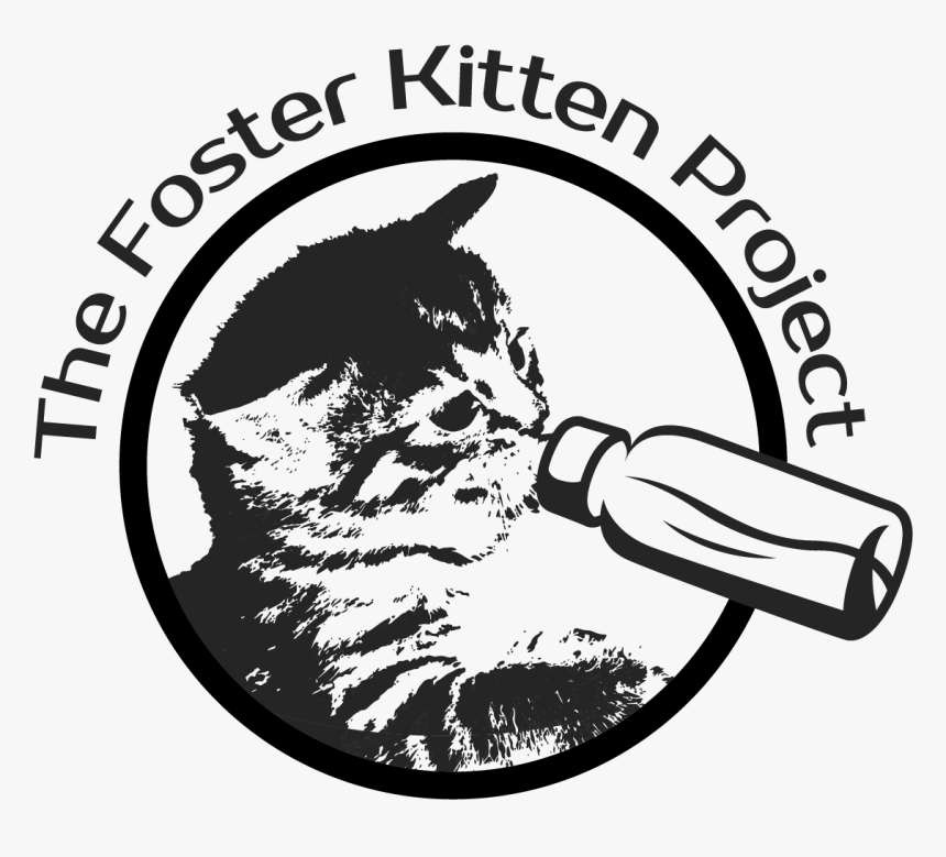 Foster Kitten Project, HD Png Download, Free Download