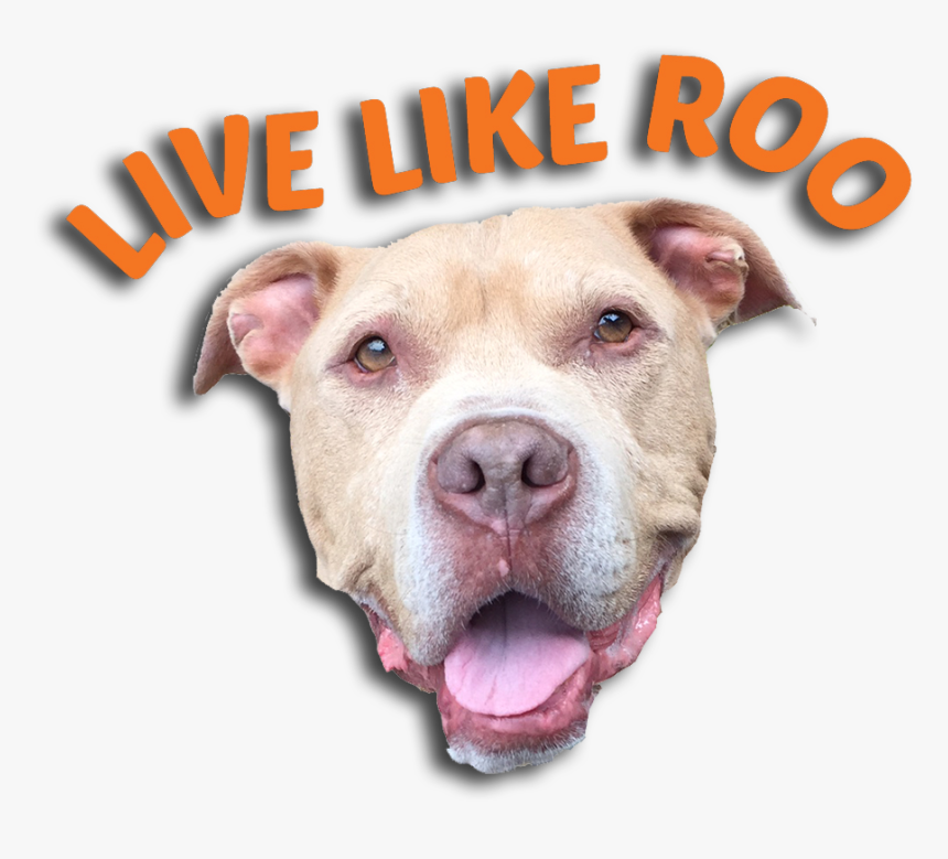 Live Like Roo Foundation Logo - Dog Yawns, HD Png Download, Free Download