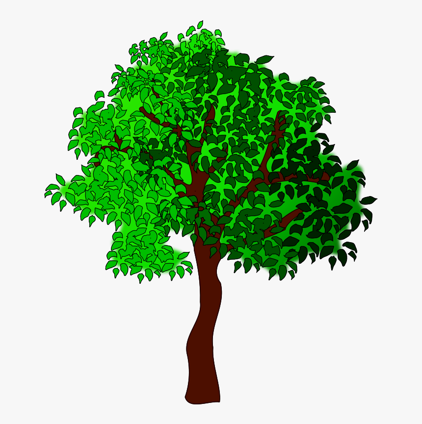 Four Seasons Clip Art - Summer Tree Clipart, HD Png Download, Free Download