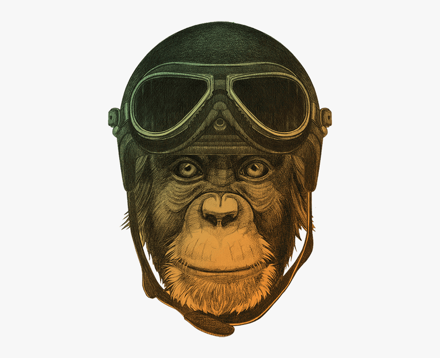 Ape Thinker"s Services Background - Monkey With Hat, HD Png Download, Free Download