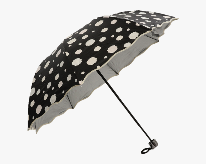 Umbrella, HD Png Download, Free Download