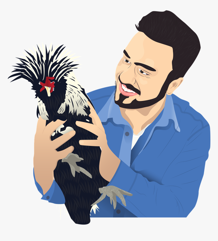 Chicken, HD Png Download, Free Download