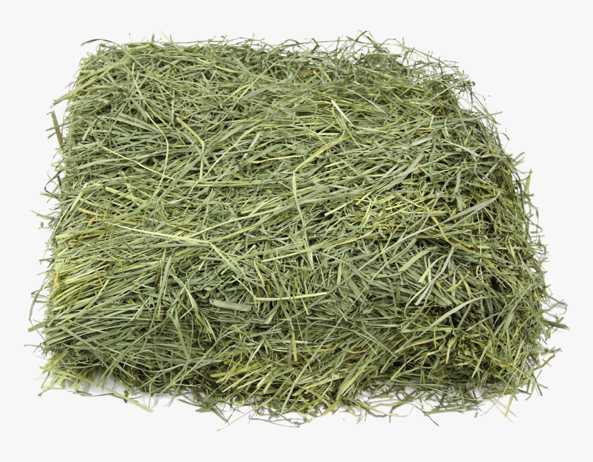 Square Hay Png Free Download - Bluegrass Hay, Transparent Png, Free Download