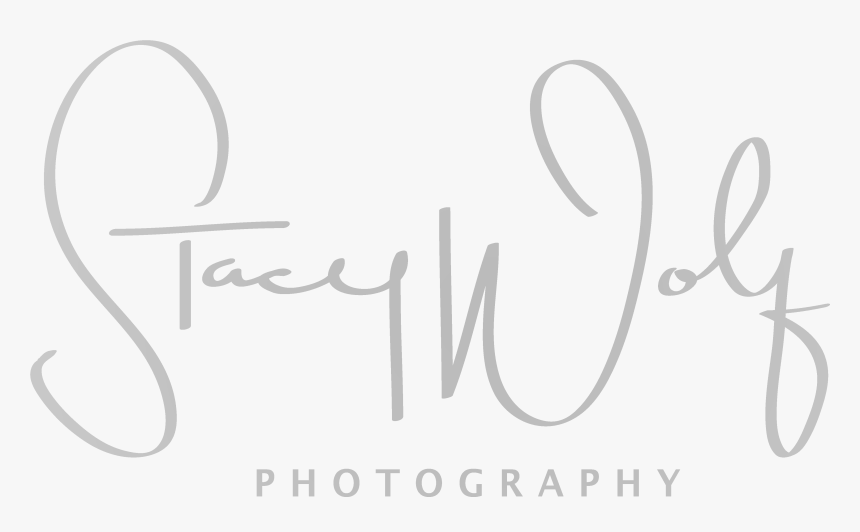 Stacy Wolf Photography - Calligraphy, HD Png Download, Free Download