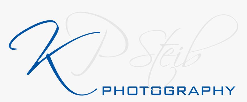 Dorothy Perkins, HD Png Download, Free Download