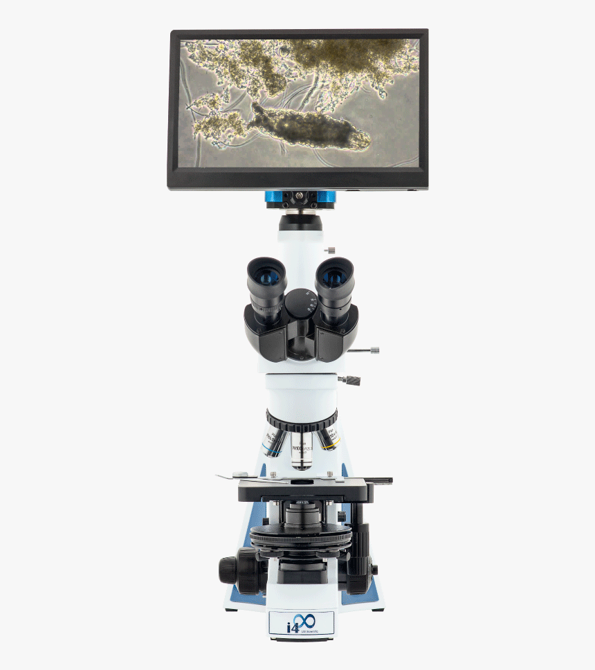 I4 Wastewater Treatment Microscope"

 
 Data Rimg="lazy"
 - Microscope, HD Png Download, Free Download