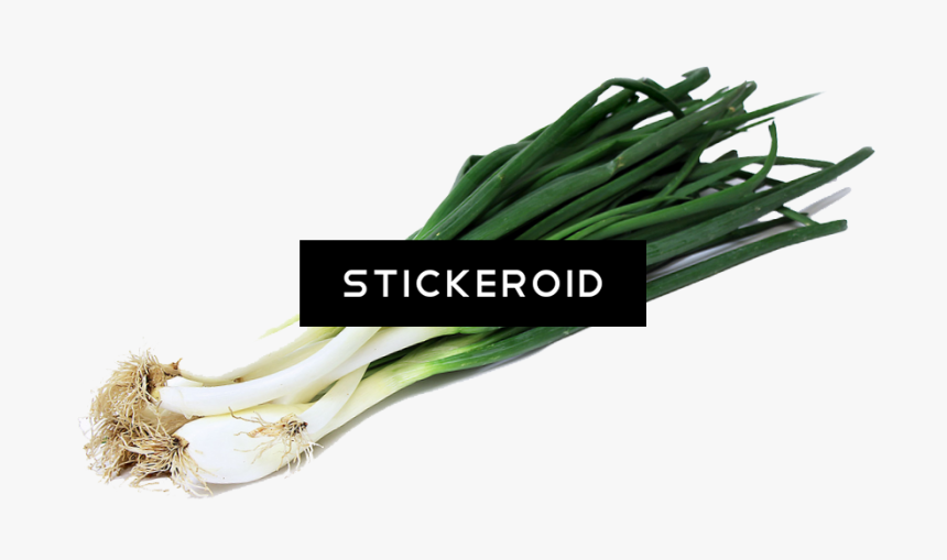 Green Onion Png - Transparent Green Onion Png, Png Download, Free Download