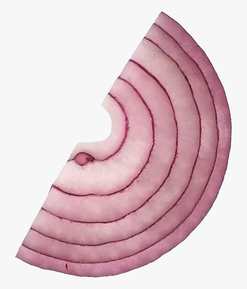 Sliced Onion 4 - Red Onion, HD Png Download, Free Download