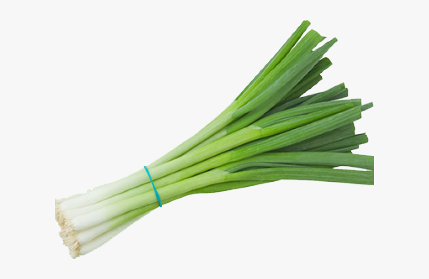 Onion Clipart File - Transparent Green Onion Png, Png Download, Free Download