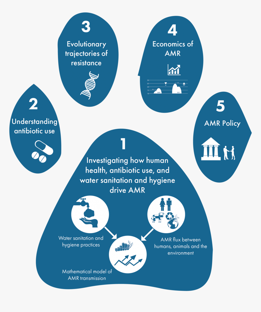 Illustration, HD Png Download, Free Download