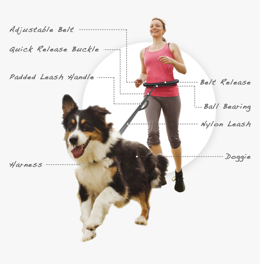Fitness Runner With Dog , Png Download - Women Running With Dogs, Transparent Png, Free Download