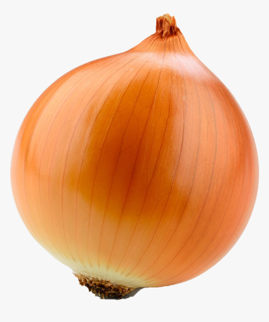 Onion Stock, HD Png Download, Free Download