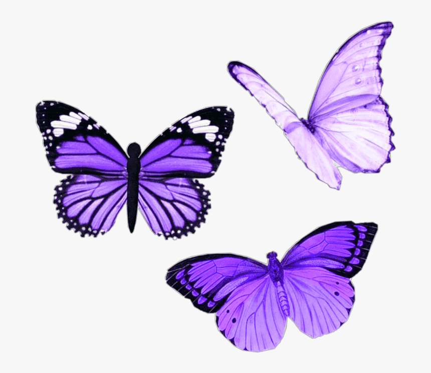 #png #purple #butterfly #aesthetic #moodboard #niche - Pink Butterfly Aesthetic, Transparent Png, Free Download