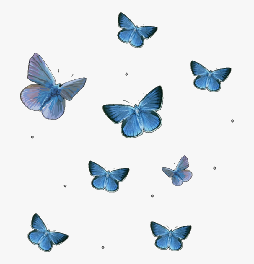 Butterflies, Butterfly, And Editing Image - Transparent Background Blue Butterfly Png, Png Download, Free Download