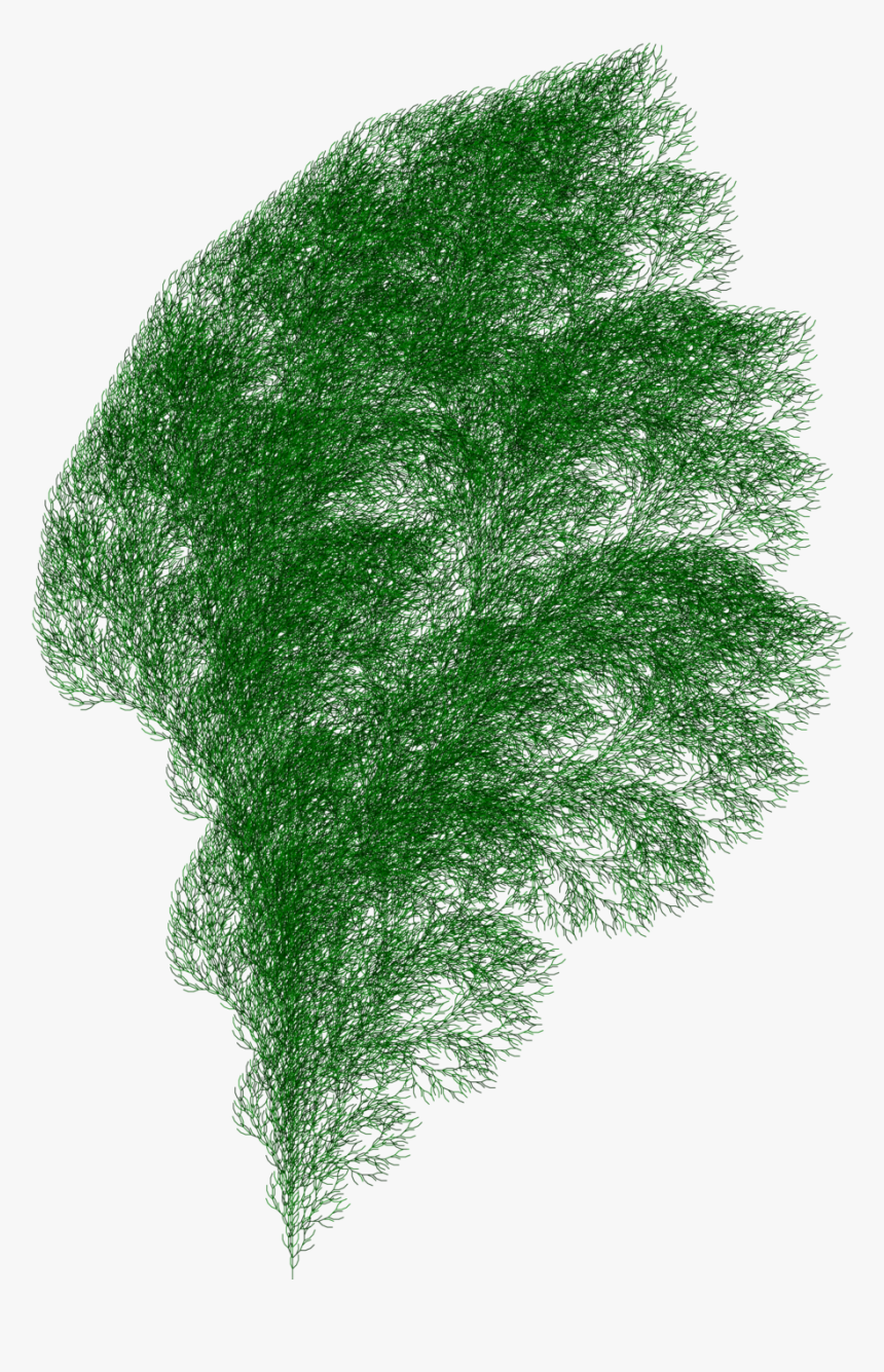 A Fractal Plant Generated Using Axiom F, Production - Drawing Of A Bush, HD Png Download, Free Download