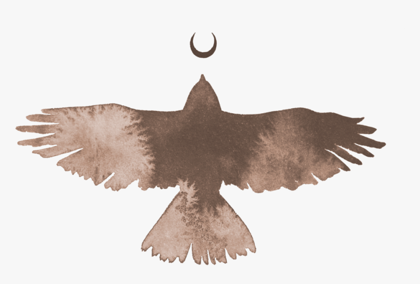 Eagle Sitting Png, Transparent Png, Free Download