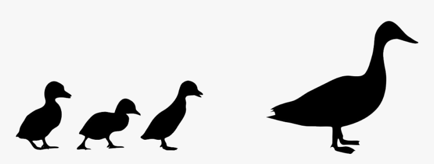 24k Creative - Ducks Silhouette, HD Png Download, Free Download