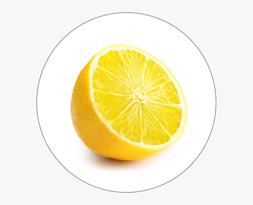 Icon - Photography, HD Png Download, Free Download