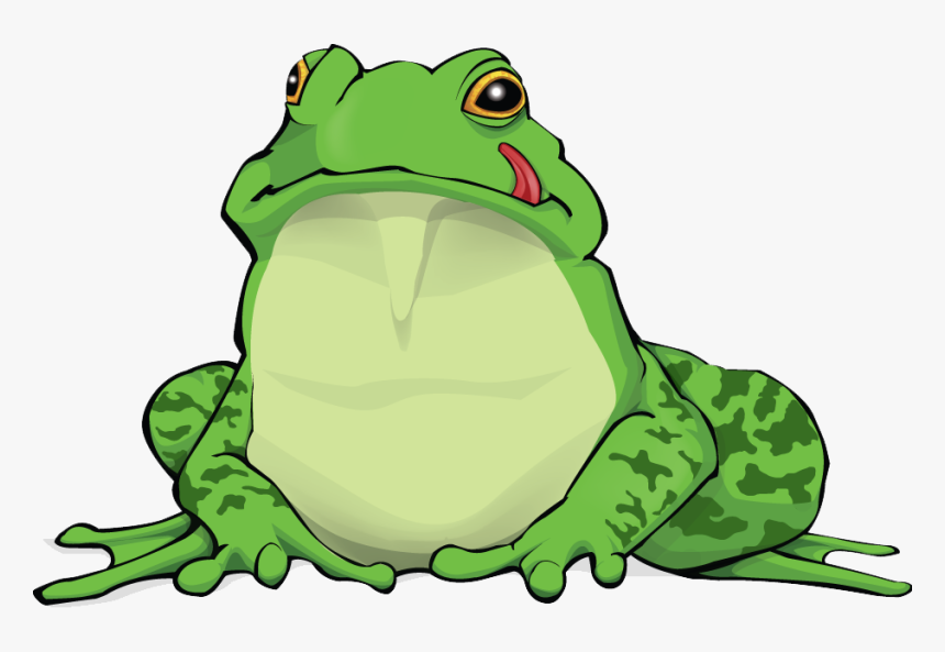 Amphibian Png Free Download - Amphibian Png, Transparent Png, Free Download