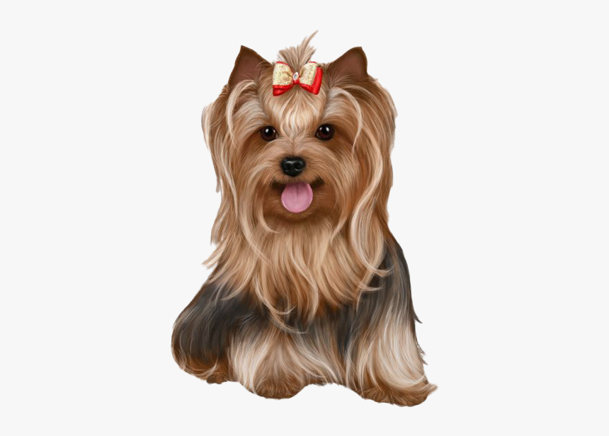 Yorkshire Terrier Png Hd Image - Dog Noel Png, Transparent Png, Free Download