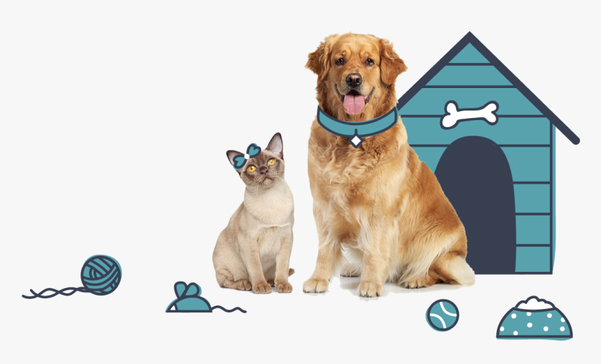 Dog And Cats - Dog Cat Transparent Background, HD Png Download, Free Download