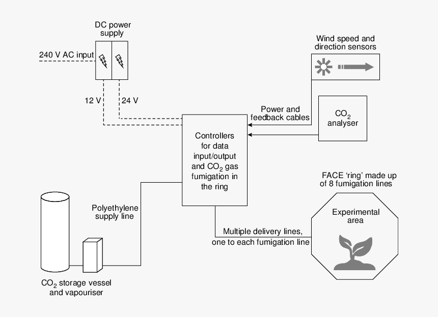 Carbon Dioxide Delivery System, HD Png Download, Free Download