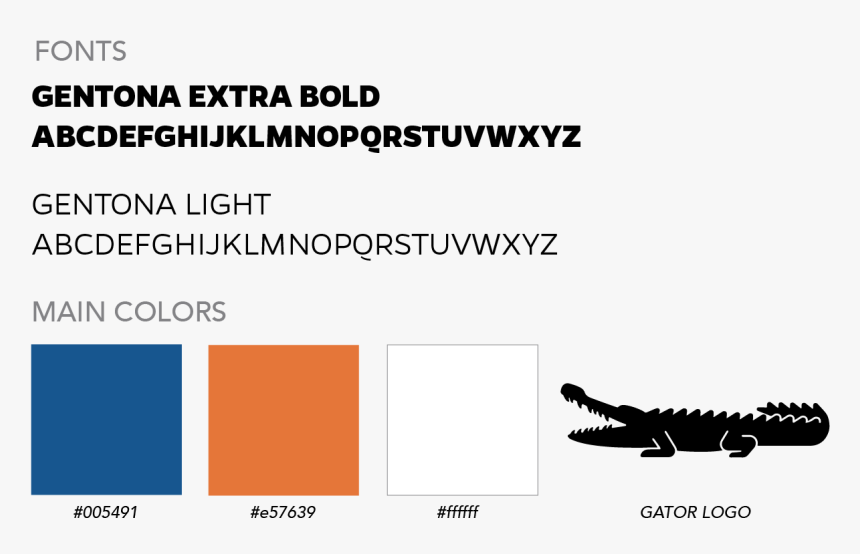 Alligator, HD Png Download, Free Download