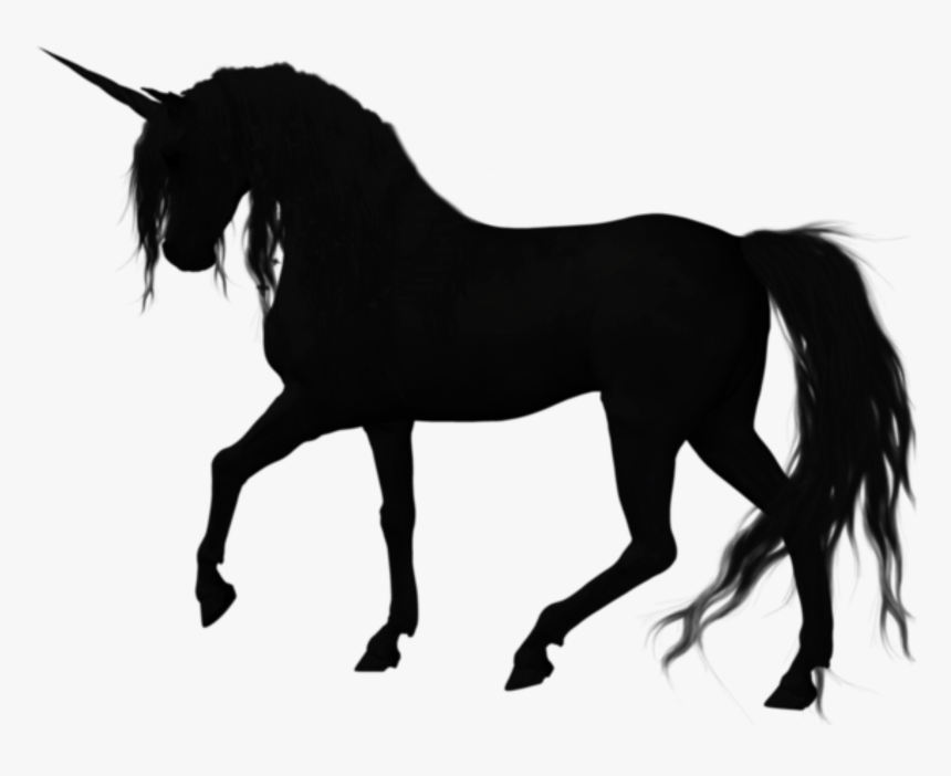 Silhouette American Quarter Horse Stallion Vector Graphics - Vector Image Of Horse, HD Png Download, Free Download