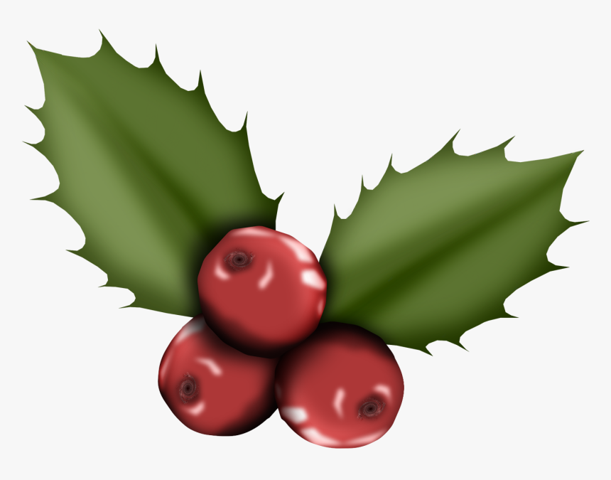 Muérdago Cschristmaustimeholly - Christmas Day, HD Png Download, Free Download
