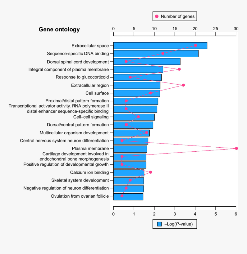 The Red Dot In The Figure Means Number Of Genes - Go Enrichment P Value, HD Png Download, Free Download