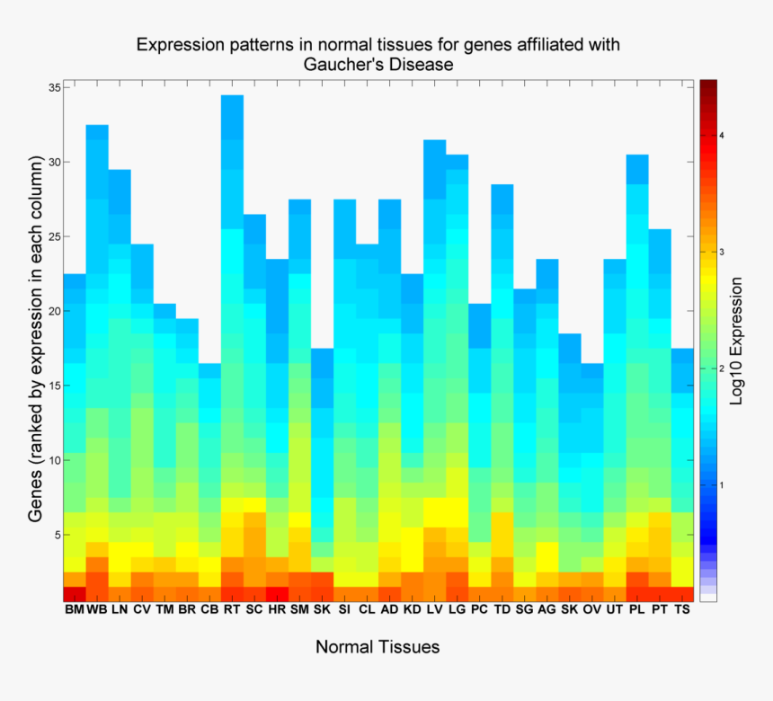 Expression Patterns In Normal Tissues For Genes Affiliated - Graphic Design, HD Png Download, Free Download