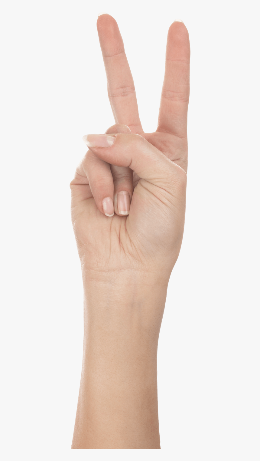 Two Fingers Hand Png, Transparent Png, Free Download