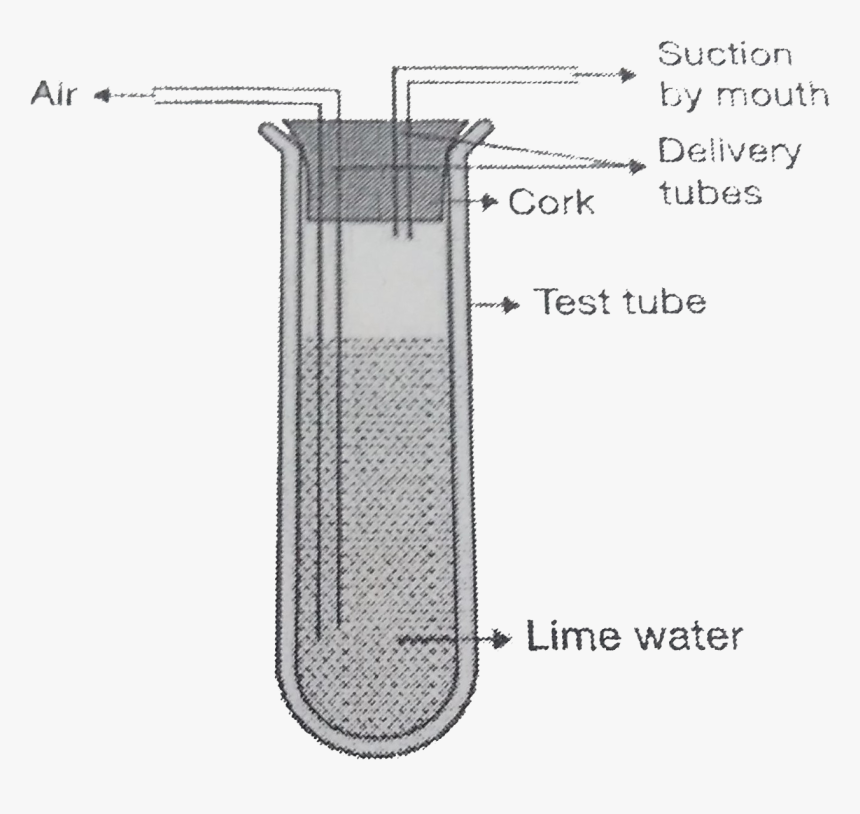 Diagram, HD Png Download, Free Download