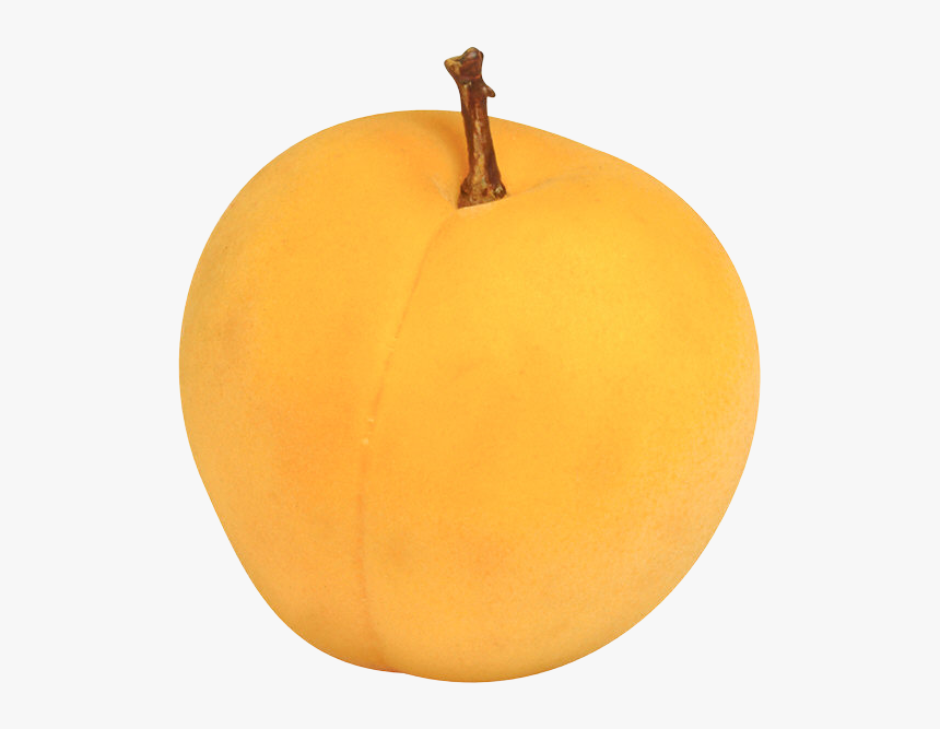 Apricot - Calabaza, HD Png Download, Free Download