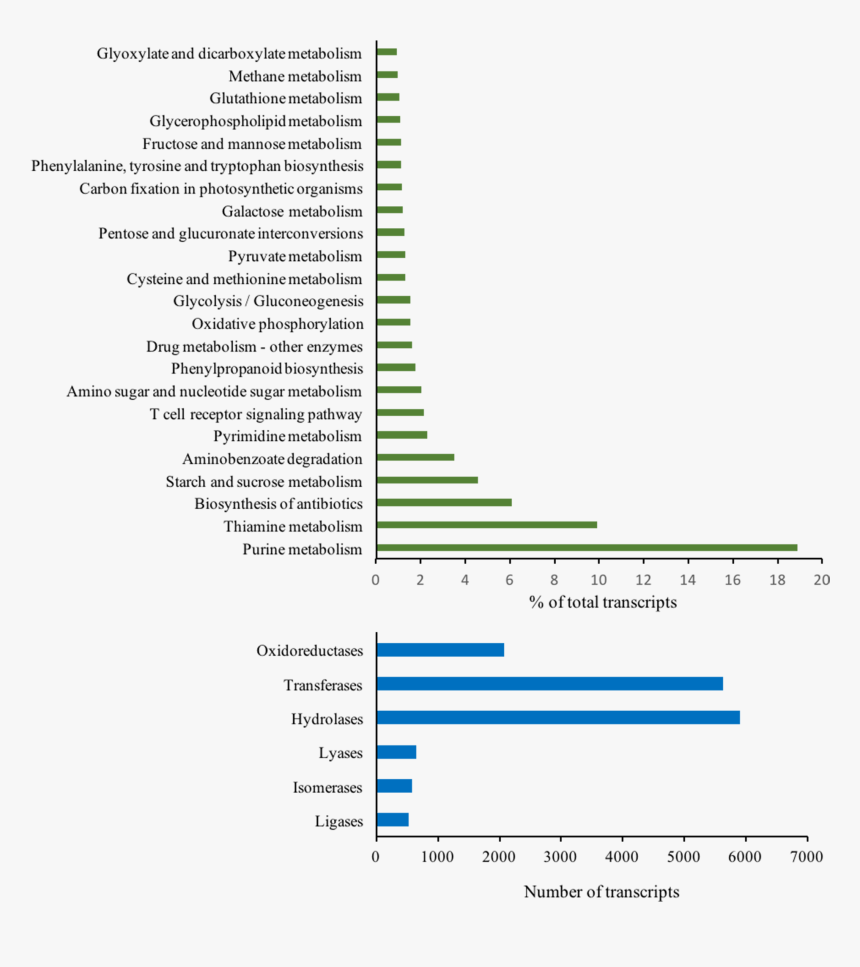 Diagram, HD Png Download, Free Download