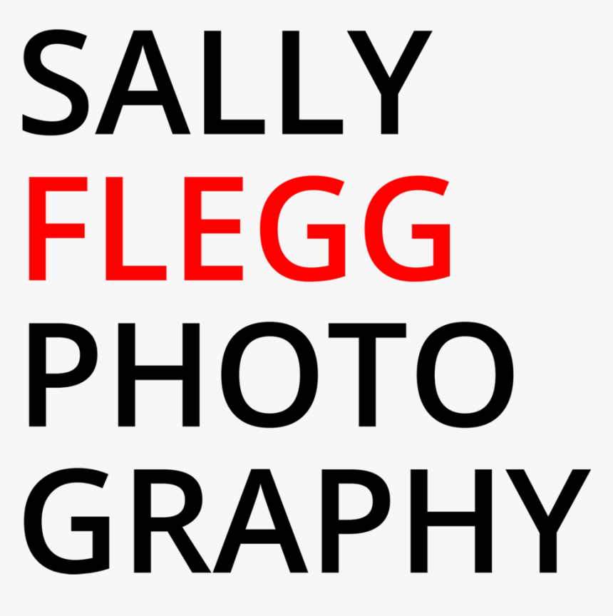 Sally Flegg Photography - Circle, HD Png Download, Free Download