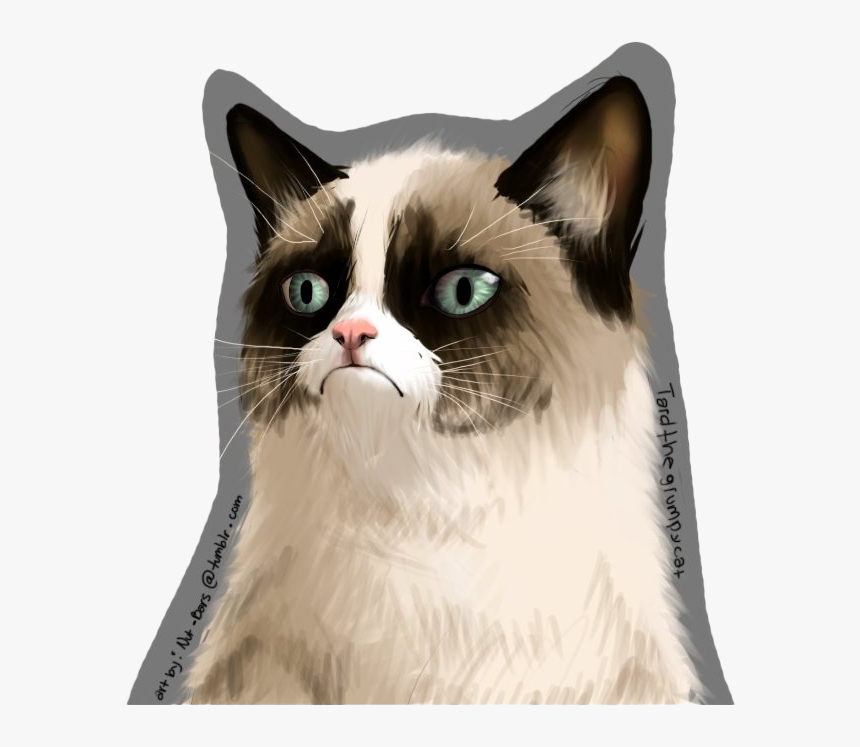 Grumpy Cat Png Free Download - Transparent Grumpy Cat, Png Download, Free Download