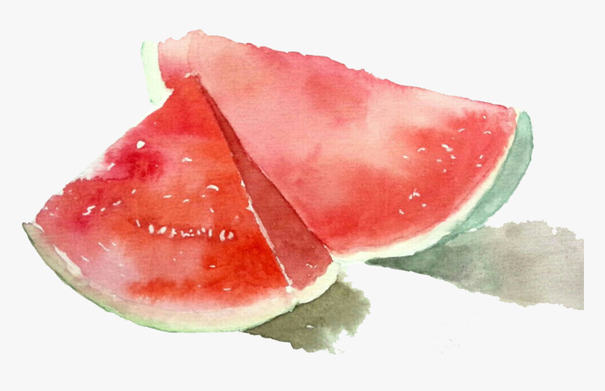 Watermelon Drawing Painting - Watermelon, HD Png Download, Free Download