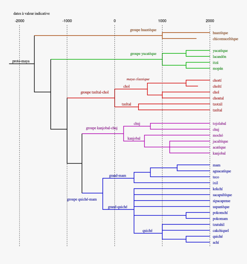 Tree Of Maya Languages - Tree Of Languages, HD Png Download, Free Download