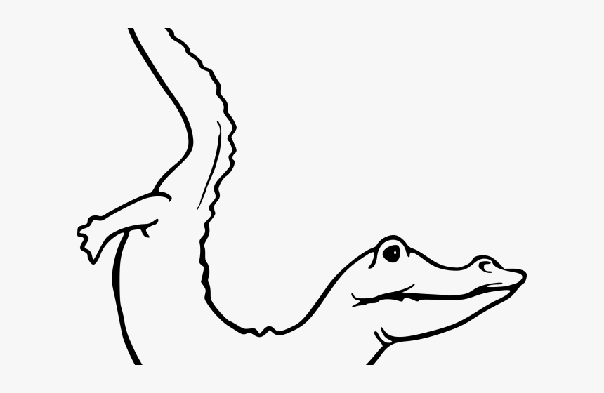 Drawn Head Alligator - Crocodile, HD Png Download, Free Download