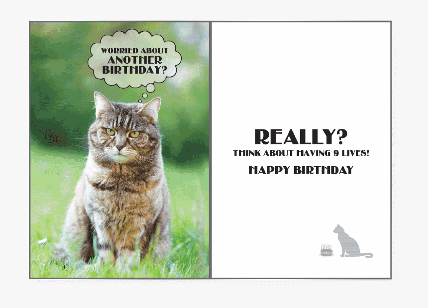 9 Lives"
 Class= - Greeting Card, HD Png Download, Free Download