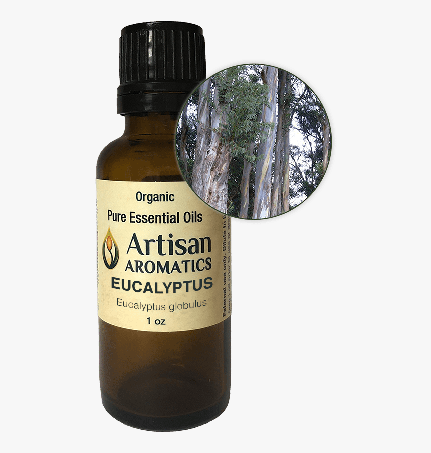 Eucalyptus Globulus - Essential Oil, HD Png Download, Free Download