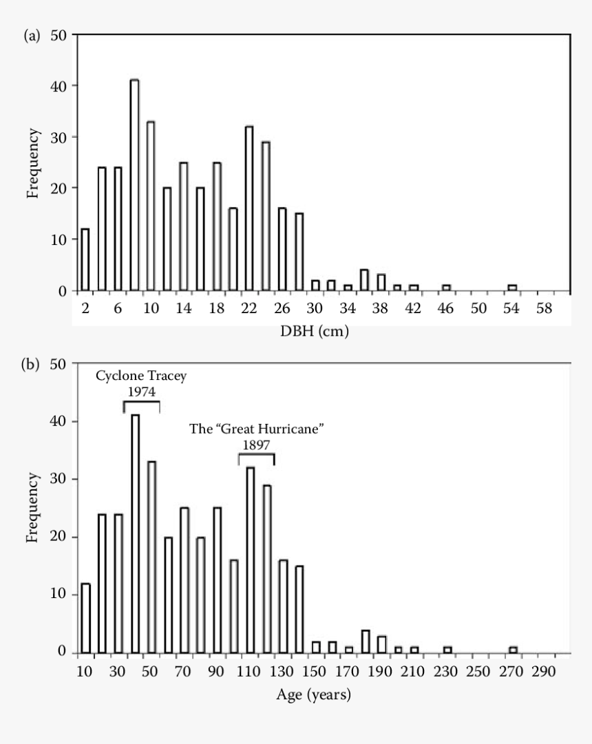 Diagram, HD Png Download, Free Download