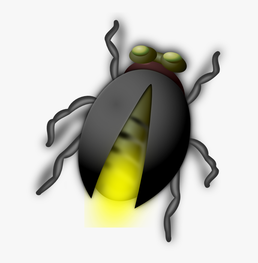 Bug Clipart Png, Transparent Png, Free Download