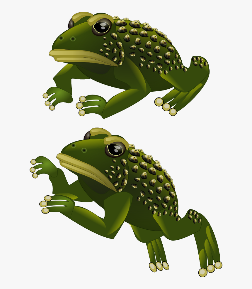 Preview - Frog, HD Png Download, Free Download