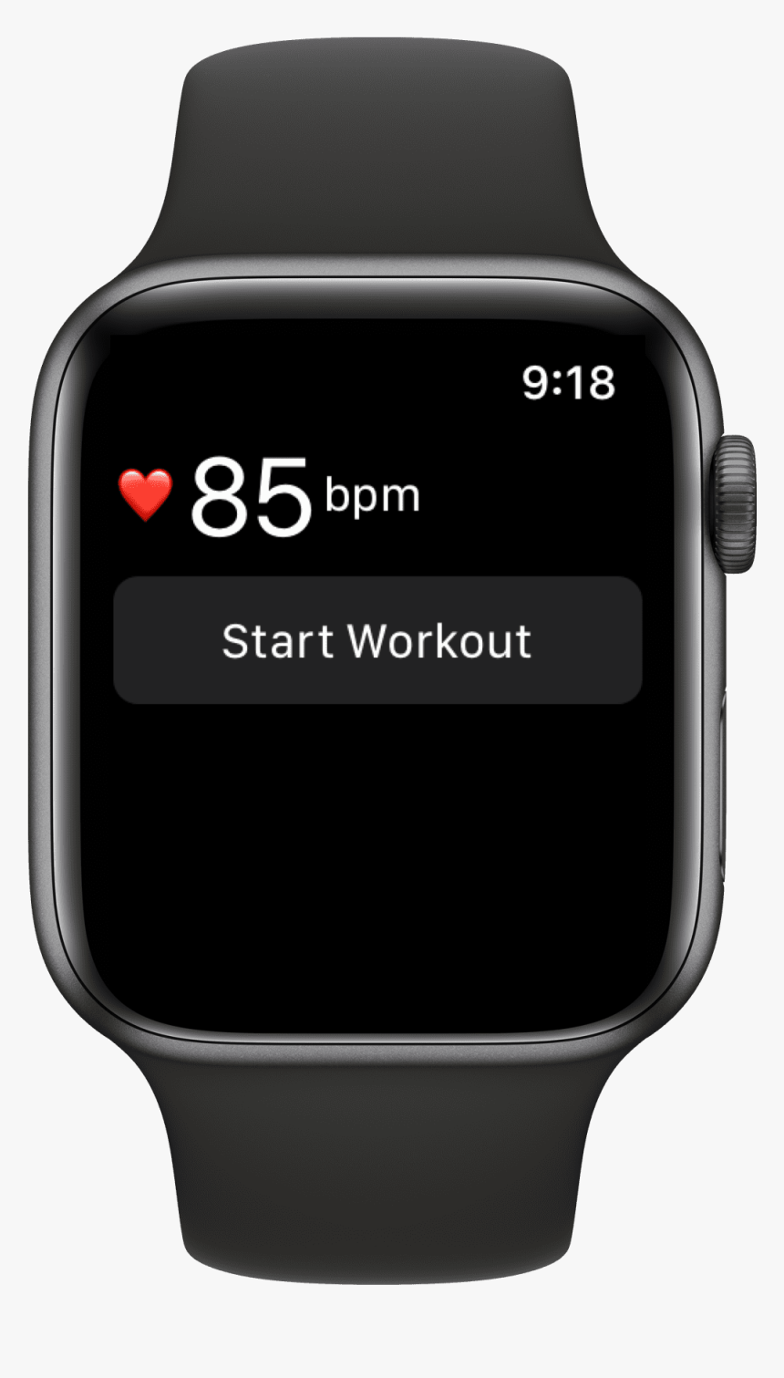 Apple Watch Series 5 40mm Bands, HD Png Download, Free Download